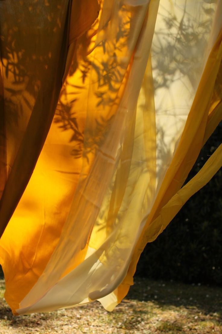 soie-teintée-à-l-extrait-de-baies-de-nerprun